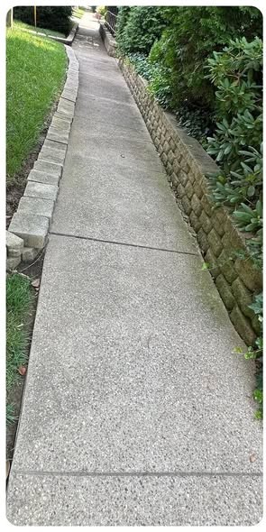 Concrete walkway before pressure washing