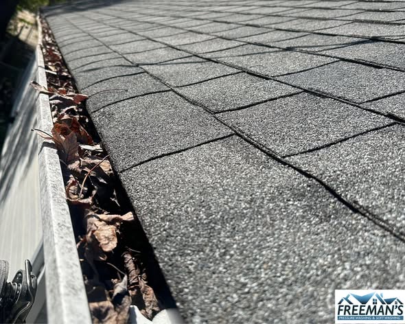 Roof Soft Wash